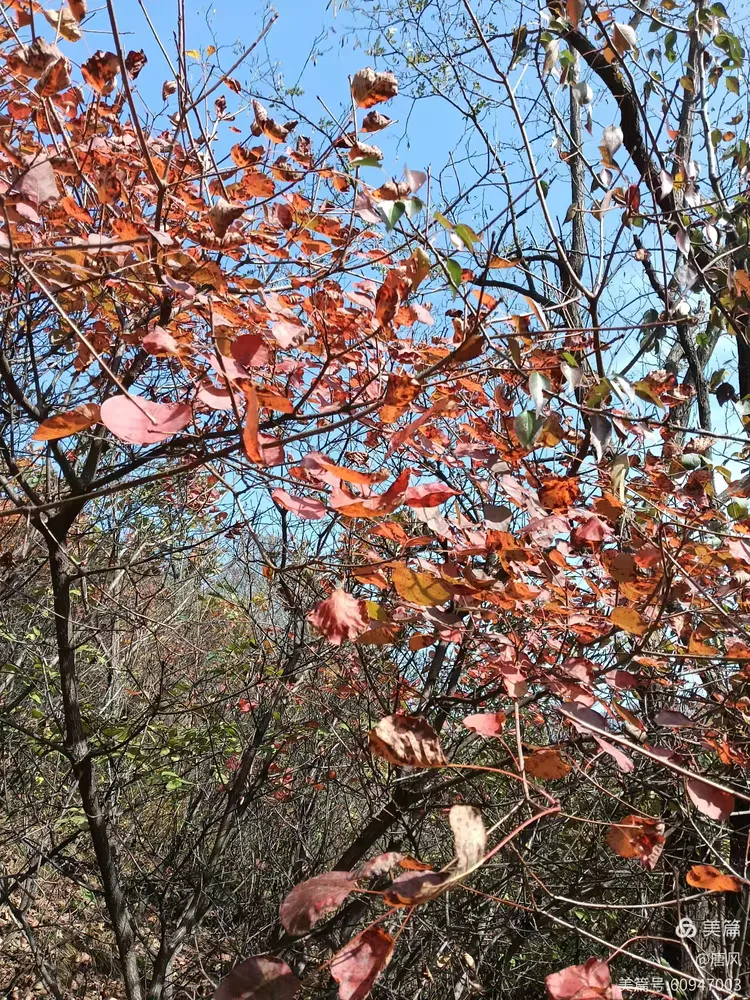 绛县紫家峪印象